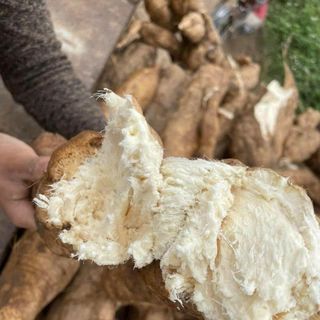 BỘT SẮN DÂY NGUYÊN CHẤT 1KG - WINNIE HOUSE
