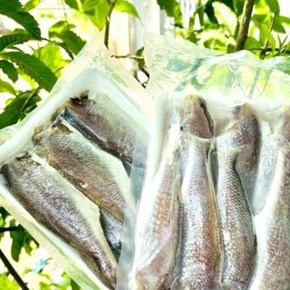 KHÔ ĐÙ NGUYÊN CON SIZE LỚN