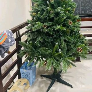 Cây thông noel ba lá trái thông giá sỉ