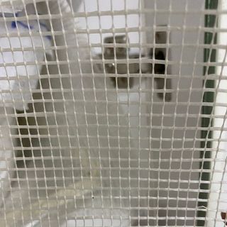 Lưới thuỷ tinh 70g/m2, chống thấm nứt cho tường