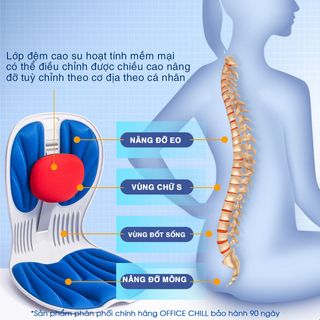 Ghế Ngồi Chỉnh Dáng Công Thái Học OFFICE CHILL Ngồi Thẳng Đúng Tư Thế Chống Đau Lưng Gù Lưng Ghế Thế Hệ Mới Bảo Hành 90 Ngày