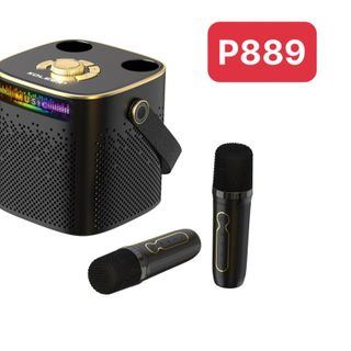 LOA HÁT KARAOKE BLUETOOTH KÈM 2 MIC KARAOKE KHÔNG DÂY KOLEER  P889  - ÂM THANH CỰC HAY giá sỉ