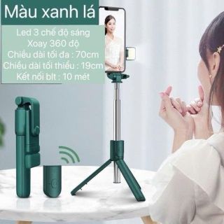 Gậy chụp ảnh R1S