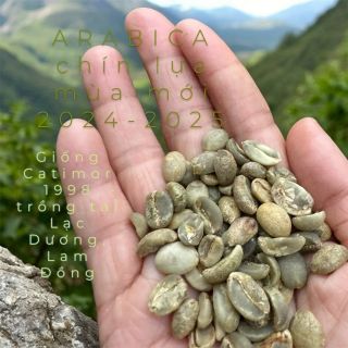 Cà phê hạt _ ARABICA _exelsa
Giá: 135.000 đồng/túi 500gr
Qui cách túi nhôm 500g
Chất giao: HẠT hoac XAY thành bột 
Min oder: 2 túi kg
Tháng 02.2025