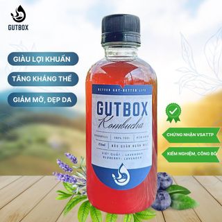 Trà Kombucha Tươi Gutbox các vị (chai 250ml nhựa)
