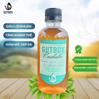 Trà Kombucha Tươi Gutbox các vị (chai 250ml nhựa)