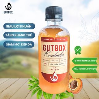 Trà Kombucha Tươi Gutbox các vị (chai 250ml nhựa)
