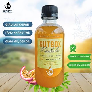Trà Kombucha Tươi Gutbox các vị (chai 250ml nhựa)