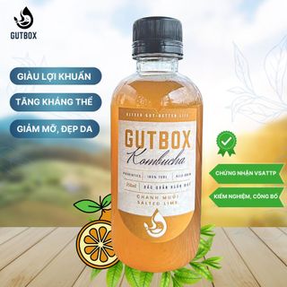 Tuyển Sỉ dòng Trà Kombucha Tươi Gutbox