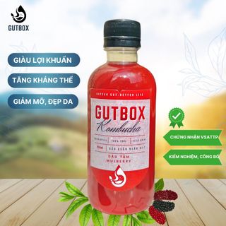 Trà Kombucha Tươi Gutbox các vị (250ml thủy tinh)