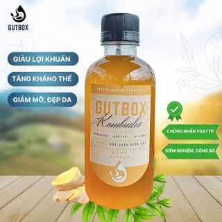Trà Kombucha Tươi Gutbox các vị (250ml thủy tinh)
