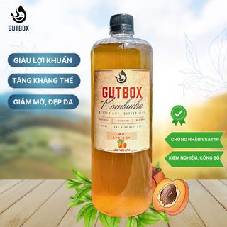 Kombucha Tươi Gutbox các vị (chai 1000ml)