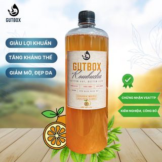 Kombucha Tươi Gutbox các vị (chai 1000ml)