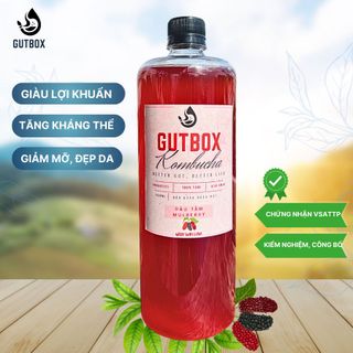 Kombucha Tươi Gutbox các vị (chai 1000ml)