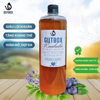 Kombucha Tươi Gutbox các vị (chai 1000ml)