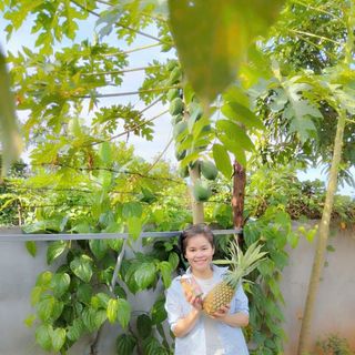 Nước rửa chén sinh học là gì? Khác gì so với nước rửa chén thông thường