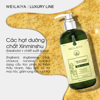Bộ Dầu Gội Gừng Detox Hỗ Trợ Mọc Tóc Weilaiya Luxury (Gội 420ml & Xả 200ml)