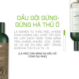 Cặp Gội-Xả Gừng Weilaiya Gừng Hà Thủ Ô Weilaiya (Kèm set mini & Túi Giấy)