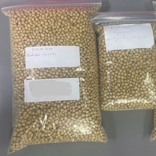 Đậu Nành Mỹ Royal Bean