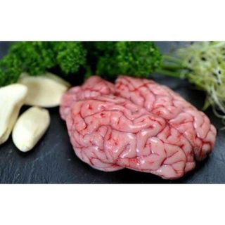 Ốc Bò 1 túi khoản 400g gần 2 bộ ốc To tươi cấp đông (giao tphcm)