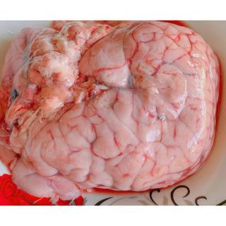 Ốc Bò 1 túi khoản 400g gần 2 bộ ốc To tươi cấp đông (giao tphcm)