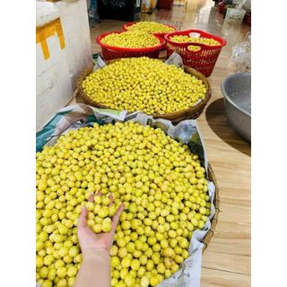 Chùm Ruột Ngào đường hủ 500g