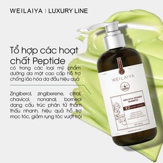 Bộ Dầu Gội Gừng Detox Hỗ Trợ Mọc Tóc Weilaiya Luxury (Gội 420ml & Xả 200ml)
