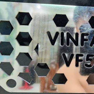 Chống chuột vf5 vinfast inox sáng bóng