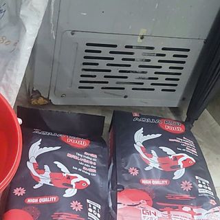 Cám cá koi Aqua koi food là sự lựa chọn tuyệt vời