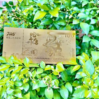 Tiền Con Rắn In Màu Plastic 3D Đẹp Mắt, Lì Xì Tết 2025 - giá sỉ, giá buôn bán