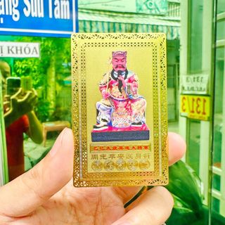 KIM BÀI THÁI TUẾ NĂM 2025 CHO 4 TUỔI TỴ - HỢI - DẦN -THÂN giá sỉ - giá bán buôn, giá sỉ tốt