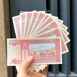Sỉ Combo 100 Tờ Tiền Mông Cổ Đỏ 20 Lì xì Tết. giá sỉ - giá bán buôn