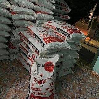 Cám cá koi Aqua koi mẫu mã đẹp