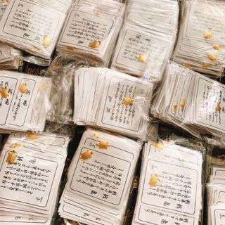 Sỉ Rùa vàng Nhật Bản lì xì Tết giá sỉ - giá bán buôn