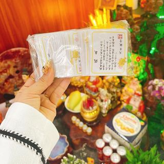 Sỉ Rùa vàng Nhật Bản lì xì Tết giá sỉ - giá bán buôn