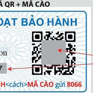 ĐỒNG HỒ NỮ CAO CẤP D.W PETITE ROMAN NUMERALS DÂY THÉP MẶT TRÒN KÈM TEM KÍCH HOẠT BẢO HÀNH ĐIỆN TỬ 2