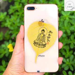 Lá Bồ Đề Tâm Phật giá sỉ - giá bán buôn