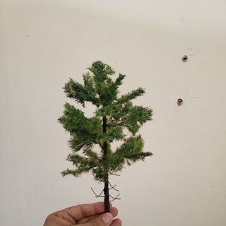Cây xanh mini handmade