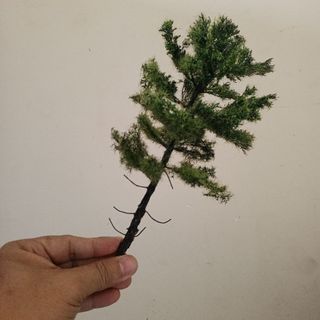 Cây xanh mini handmade