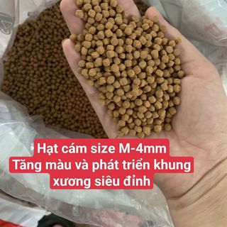Cám cá koi Aqua koi công thức đặc biệt
