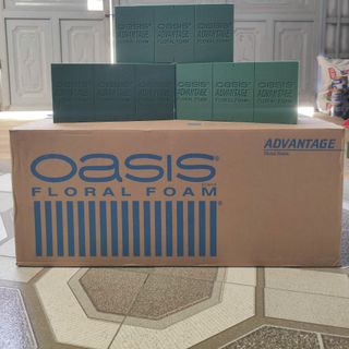 Xốp cắm hoa Oasis 1 Thùng 20 viên