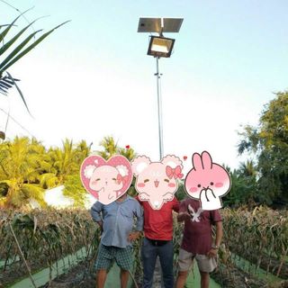 ĐÈN PHA NĂNG LƯỢNG MẶT TRỜI CHÍNH HÃNG VSP300W