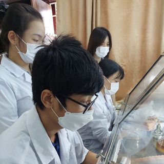 NGUYÊN LIỆU Enzyme Protease 5.000 ui/g, 5kg