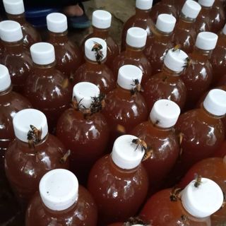 Mật ong hoa cà phê Đắk Lắk Hàng loại 1