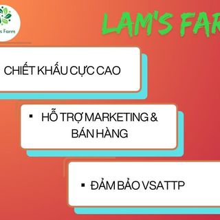 Dế Sấy Cay Giòn, đồ khô, đồ sấy. Thực phẩm khô, thực phẩm sấy làm đồ nhậu LAM'S FARM giá sỉ - Giá bán buôn