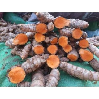 Tinh bột nghệ nhà làm