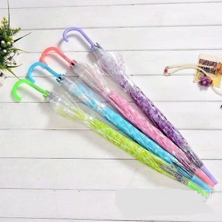 DÙ CHE MƯA TRONG SUỐT HOA ANH ĐÀO