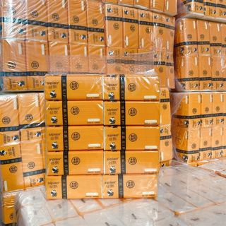 Giấy gấu SIPIAO 10 gói