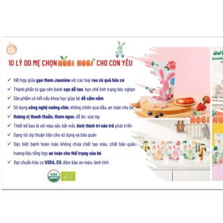 BÁNH GẠO ĂN DẶM HỮU CƠ NOBI NOBI CHO BÉ TỪ 8 THÁNG L032 - LADY'S PASSION