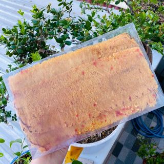 MỰC KHÔ CÁN NGUYÊN MIẾNG TẨM GIA VỊ, HỘP 500G AV002 - LADY'S PASSION